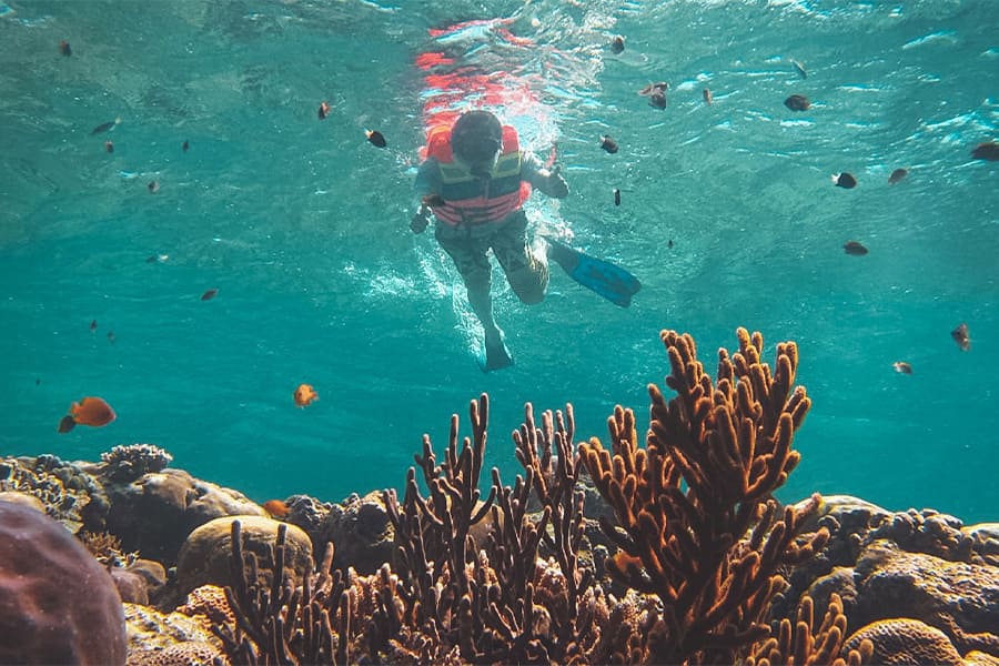 Bali Barat National Park sea - indonesia itinerary 15 days