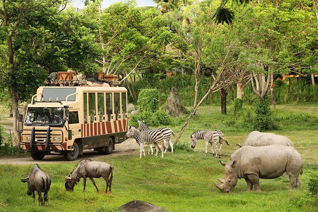 Bali Safari and Marine Park - interesting visit in Indonesia family tour