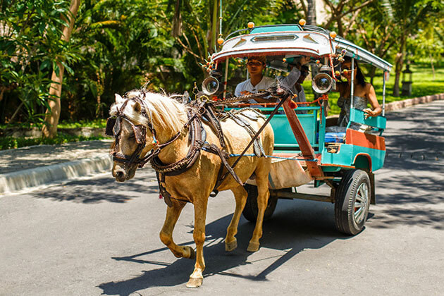 Banyumulek Village horse cart - great experience in lombok indonesia luxury tour
