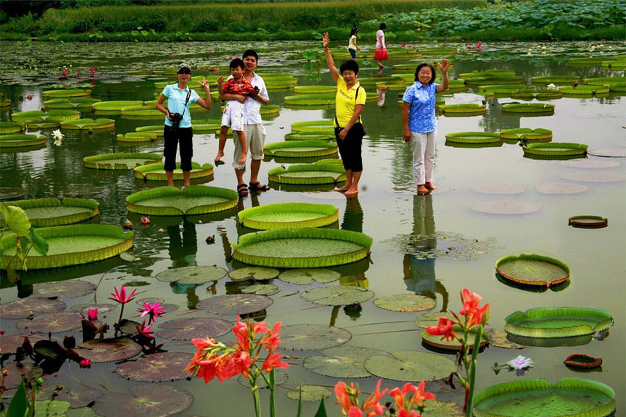 Bogor Botanical Gardens - jakarta to bali tour