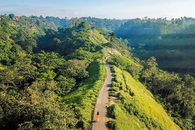 Campuhan Ridge Walk