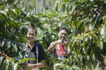 Coffee Plantation - bali instagram tour