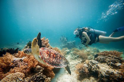 Gili Air snorkeling - indonesia luxury tour packages