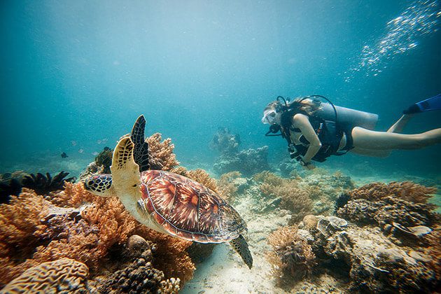 Gili Air snorkeling - indonesia luxury tour packages