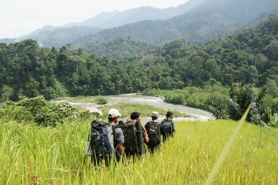 Gunung Leuser National Park - minangkabau packages tour