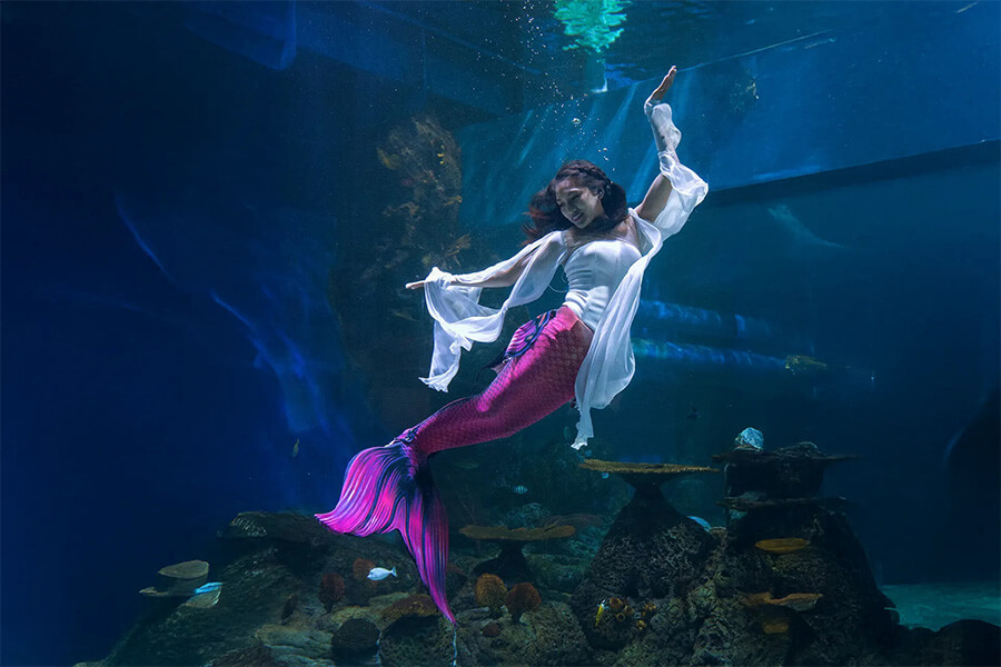 Jakarta Aquarium & Safari - things to see in jakarta vacations