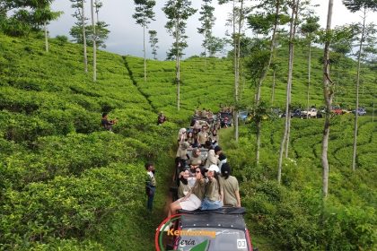 Kemuning Tea Plantation - indonesia 5 day itinerary​