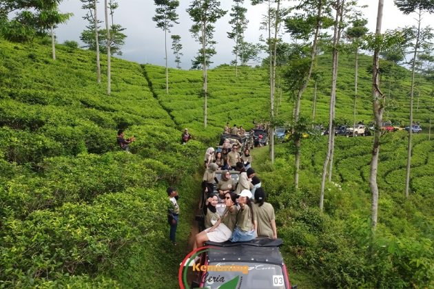 Kemuning Tea Plantation - indonesia 5 day itinerary​