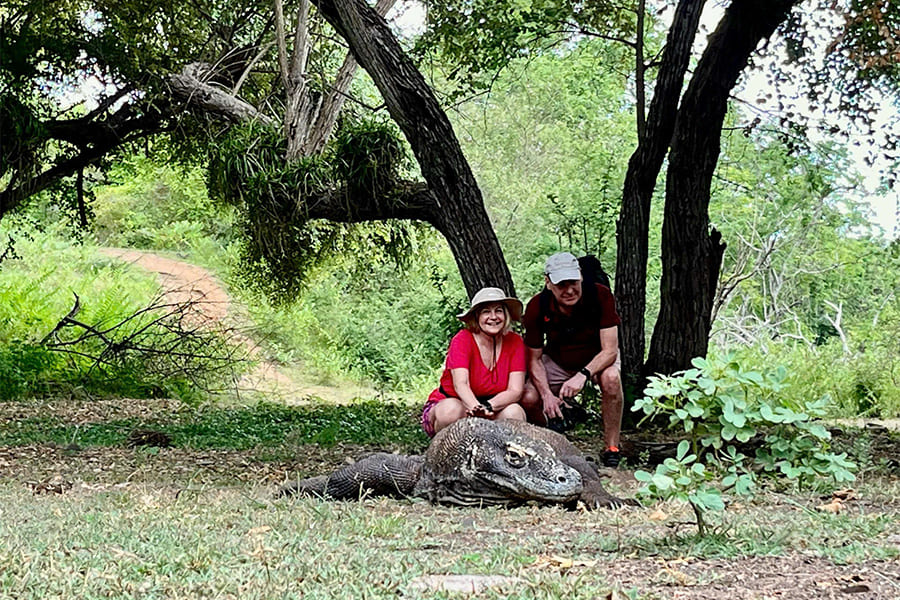 Komodo Dragon National Animal Of Indonesia