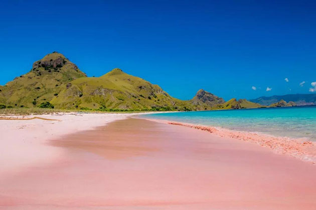 Komodo island - amazing destination for Indonesia honeymoon