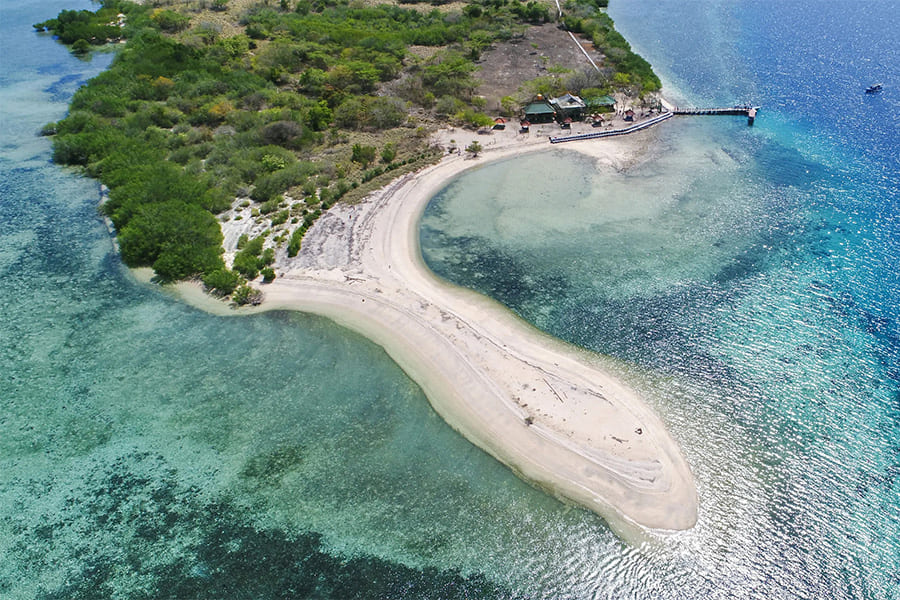 Menjangan Island - bali 15 days package
