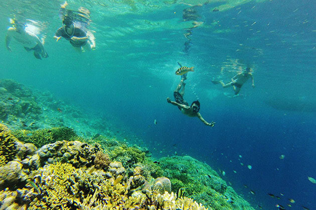 Menjangan Island snorkeling - Indonesia Bali vacation trip