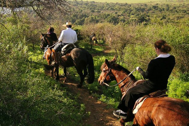 Menjangan horse riding - activity for indonesia tour