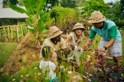 Organic Farm - wellness retreat trips