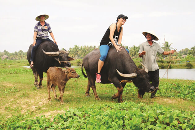 Rumah Desa ride buffulo - bali itinerary 8 days