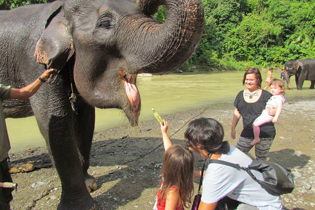Sumatra - a great family holiday destination to learn about the flora and fauna