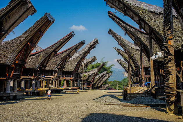 Tana Toraja - an enchanting attraction in Indonesia