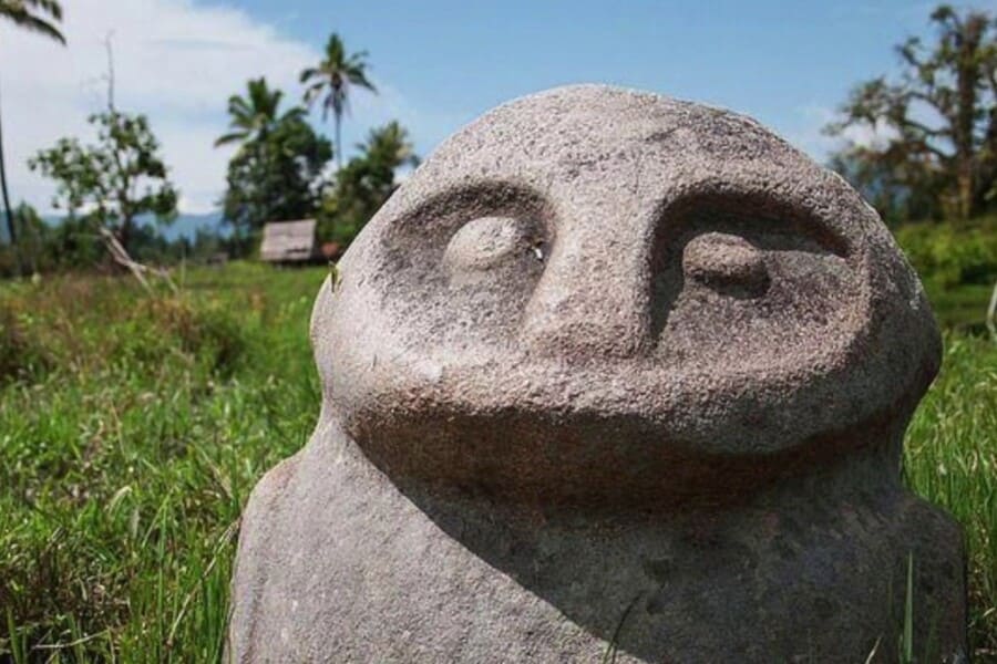 Theories Behind the Bada Valley Megaliths