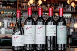 Top 5 Indonesia Wines Information & Price