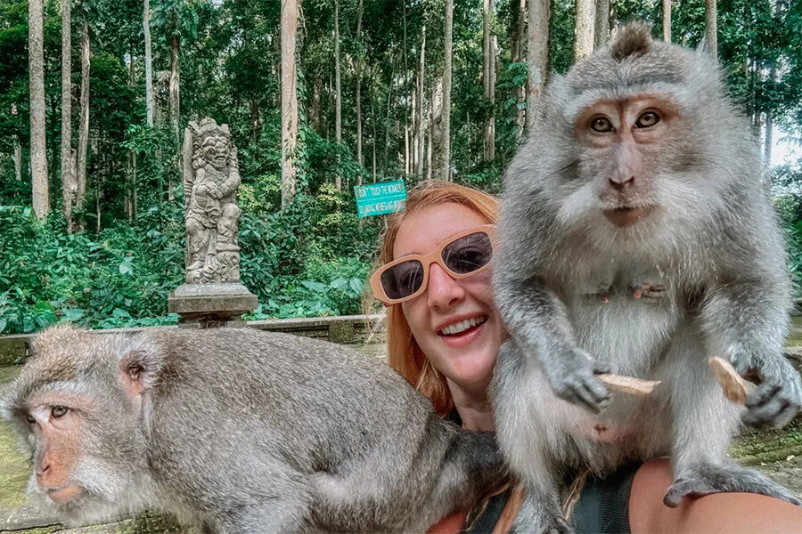 Ubud Monkey Forest - indonesia family vacations Ubud Monkey Forest - indonesia family vacations