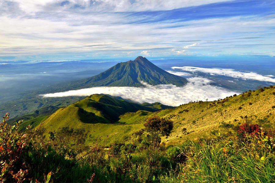 Yogyakarta lush green grasslands - yogyakarta travel packages