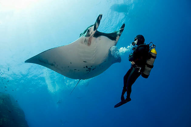 best time for diving in indonesia - komodo islands