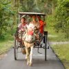 classic java and bali - yogyakarta tour packages