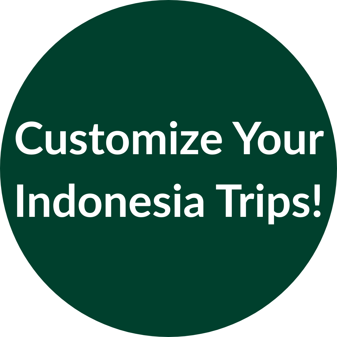 customize indonesia trips