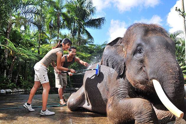 indonesia family tour - bathing elephant 