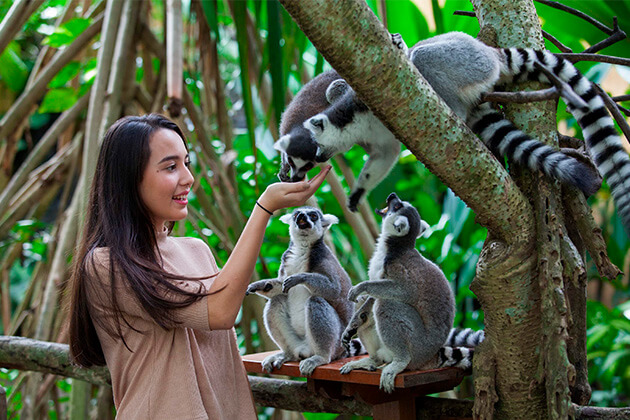 reviews about indonesia local travel agent