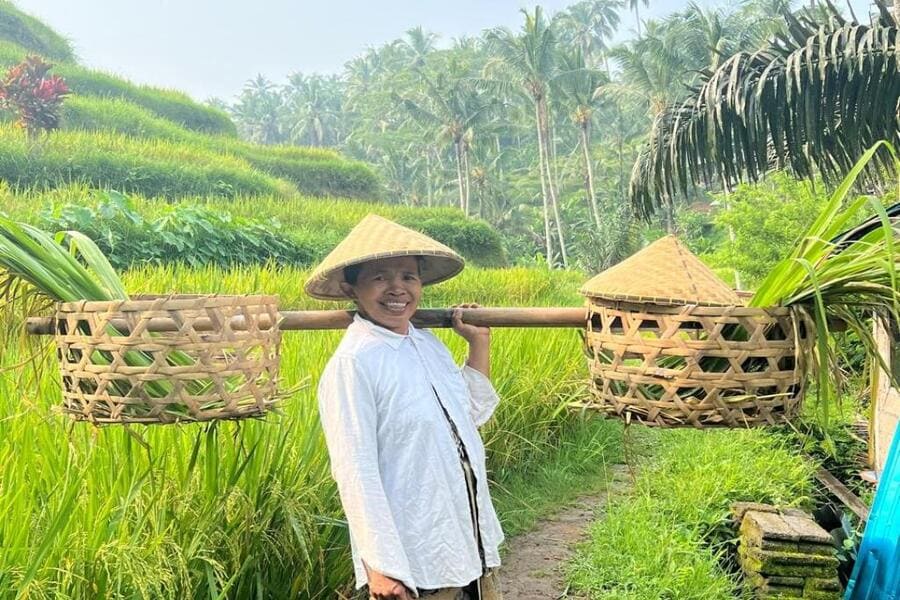 rice terraces of Ubud - ATV Quad bike in bali ubud
