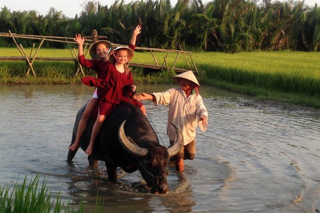 ride a water buffalo - indonesia family vacation
