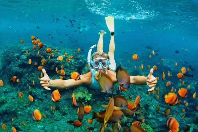 snorkeling Peucang Island - indonesia 5 day itinerary​