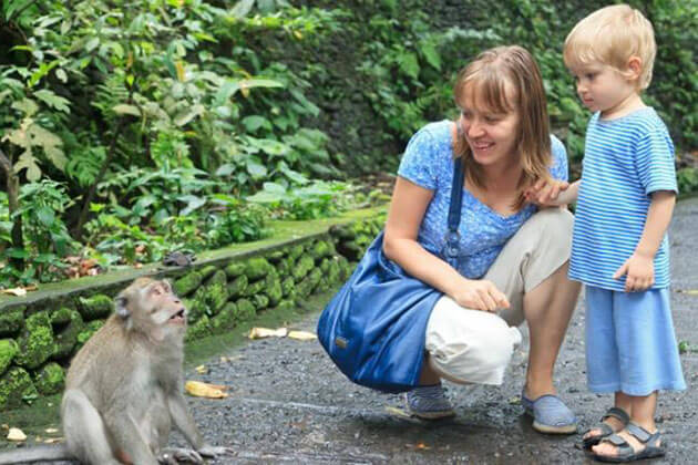 ubud monkey forest - famous attractions for bali family tours